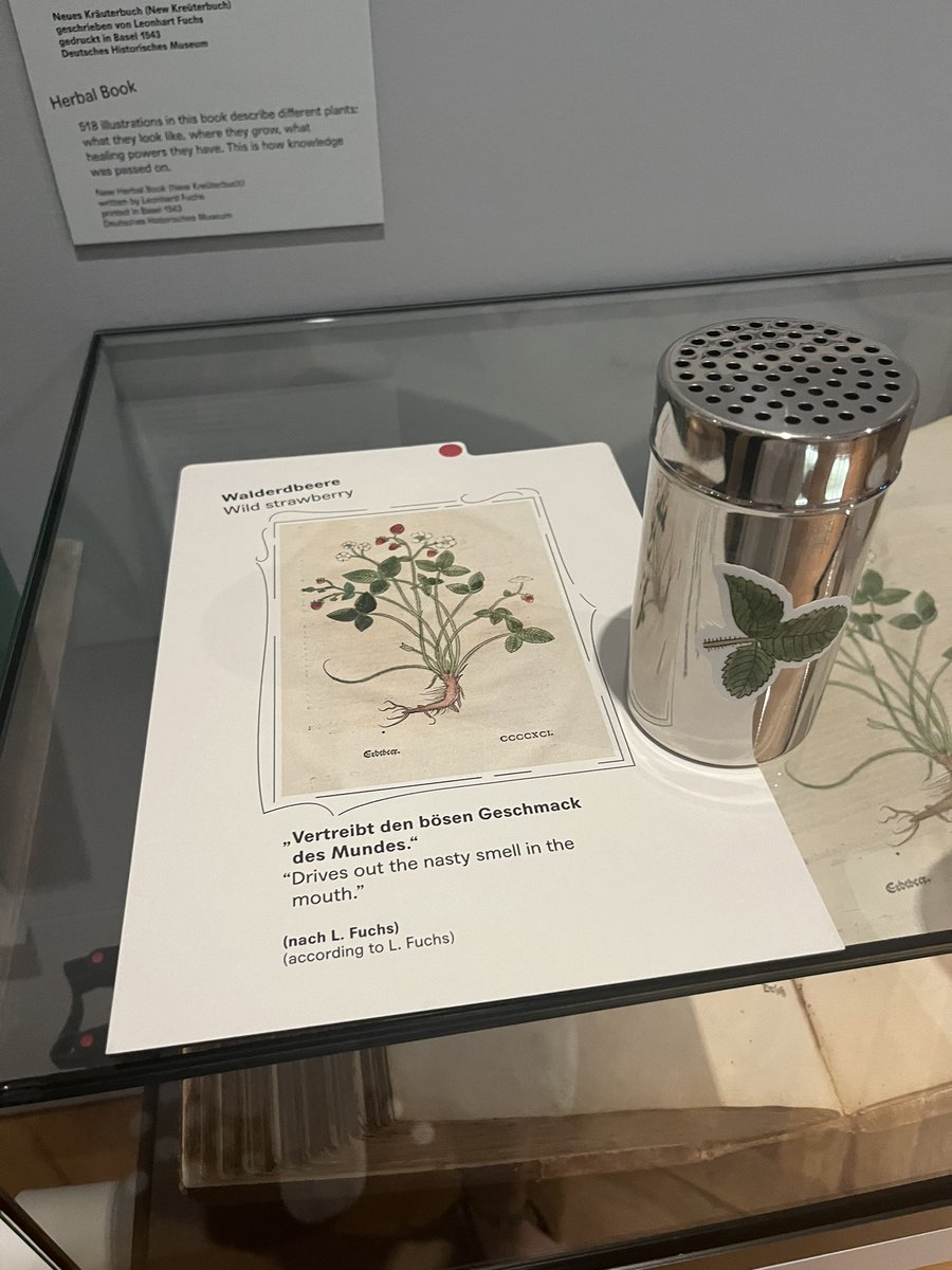 Neben dem „Neuen Kräuterbuch“ von Leonhard Fuchs (Basel 1543) läd eine olfaktorische Station in der Kinderausstellung zum Entdecken von Heilpflanzen ein. Mein persönliches Highlight: Die Wilderbeere. #DHMZeitreise