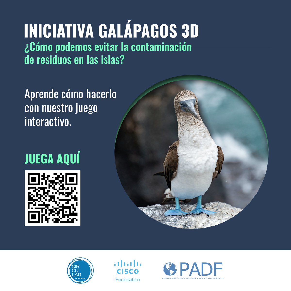 Fundación Circular (@circularec) on Twitter photo ¡Las #Galápagos necesitan tu ayuda!
Participa en nuestro juego interactivo y aprende a separar tus residuos para proteger este paraíso.✨
Una iniciativa de: <a href="/PADFecuador/">PADF Ecuador</a>, CISCO Foundation y <a href="/CircularEC/">Fundación Circular</a> en la búsqueda de un futuro sostenible.
Juega aquí: somosgalapagos.padf.org ¡Las #Galápagos necesitan tu ayuda!
Participa en nuestro juego interactivo y aprende a separar tus residuos para proteger este paraíso.✨
Una iniciativa de: <a href="/PADFecuador/">PADF Ecuador</a>, CISCO Foundation y <a href="/CircularEC/">Fundación Circular</a> en la búsqueda de un futuro sostenible.
Juega aquí: somosgalapagos.padf.org