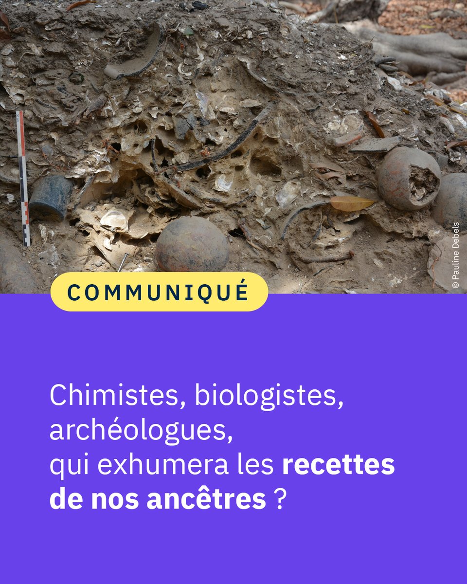 #Communiqué 🗞️ Véritable marqueur culturel et identitaire, l'alimentation regroupe de très nombreuses pratiques qui permettent de « lire » une région ou un groupe social. Mais comment retrouver ces us et coutumes lorsqu’il n’en reste aucune trace ? 👉 cnrs.fr/fr/presse/chim…