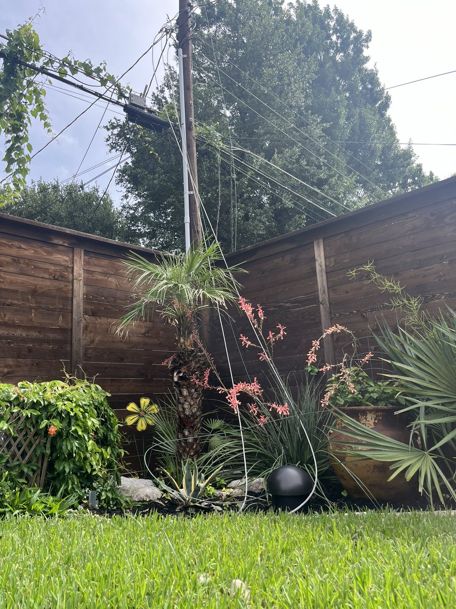 We’ve had power lines down across our backyard for 4 days now. <a href="/oncor/">Oncor</a> keeps saying the same thing: we’ll get to it. Not sure I believe that, at this point #poweroutage #oncor