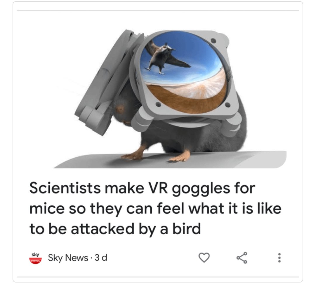 Disse, bare at det er single menn på Bruun-Larsen som ser meg komme inn døra