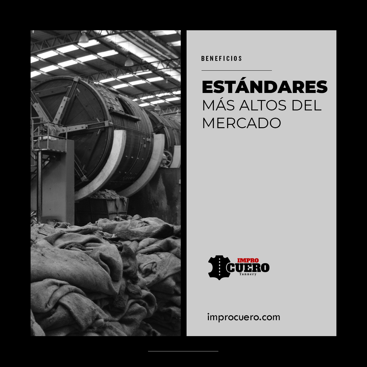 improcuero's tweet photo. Trabajamos con los estándares de calidad más altos del mercado.

Visita nuestra web: https://t.co/KSSZZnpssI

#ImproCuero #Pieles #Leather #LeatherCompany #Tannery #Tenería #Curtidos https://t.co/fmdDGNFPah