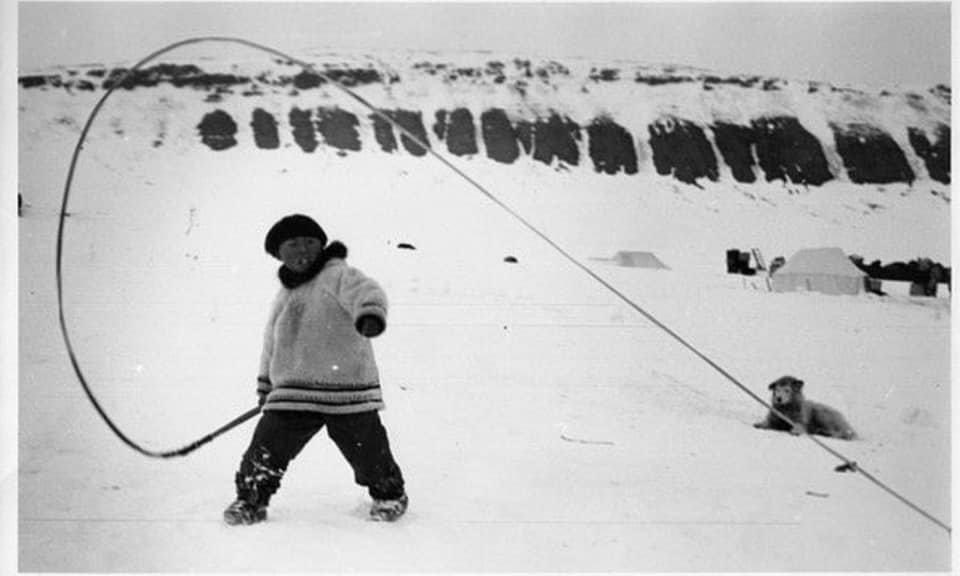 Koonoo ❄️ tweet media