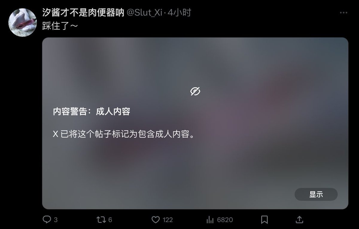 经常删推，被标记为成人内容的都会在这个号上删掉～ https://t.co/a8TgKBacB7
