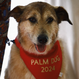 New Mor Media Memo is out now wix.to/zILD5cH