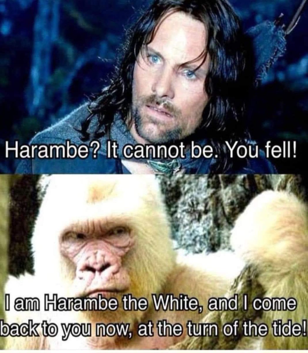 Rothmus's tweet image. 