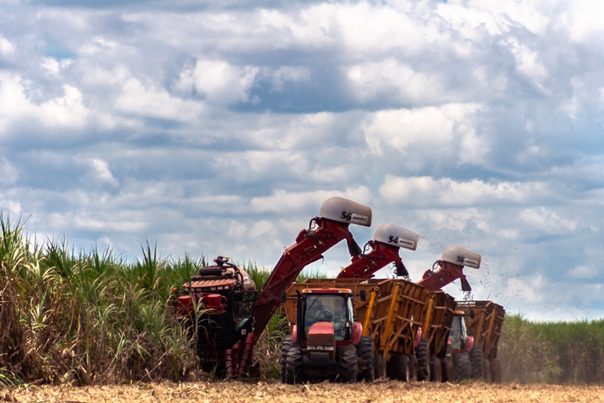 #SUGAR NEWS #BRAZIL: Sugar production in Centre-South up 1% in 1H May to 2.57 million metric tonnes – UNICA. sugaronline.com/2024/05/31/bra…. Join us today to read the full story! #commoditiestrading #softcommodities #sugarindustry #sugarcane
