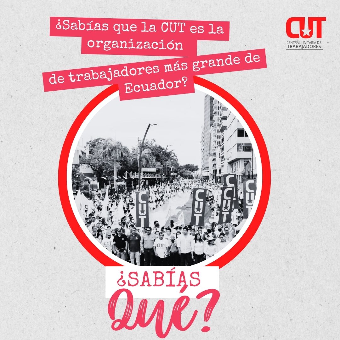 EcuadorCut's tweet image. ¿Sabías que la CUT es la organización de trabajadores más grande de Ecuador? Conoce más sobre nuestro crecimiento y logros recientes. ¡Únete a la lucha por tus derechos! 
#CUT #DefensaLaboral #Trabajadores #Ecuador