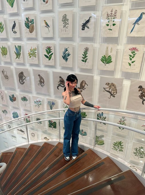 🖼️ https://t.co/s0TXIM8diY