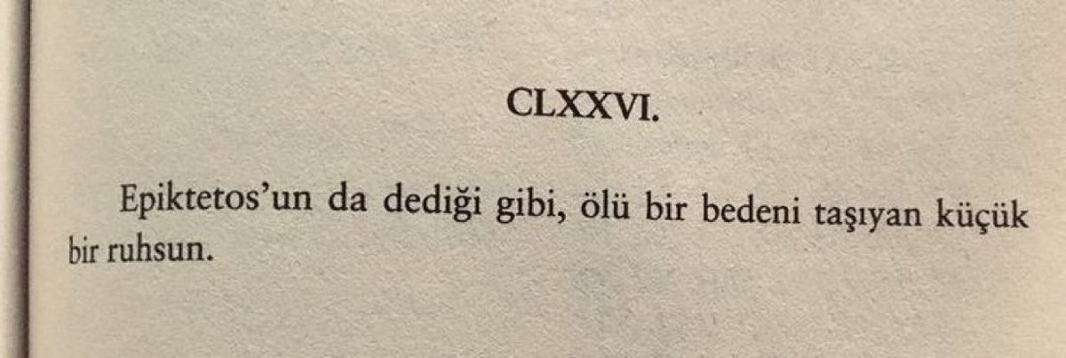 'Ölü bir bedeni taşıyan küçük bir ruhsun.'