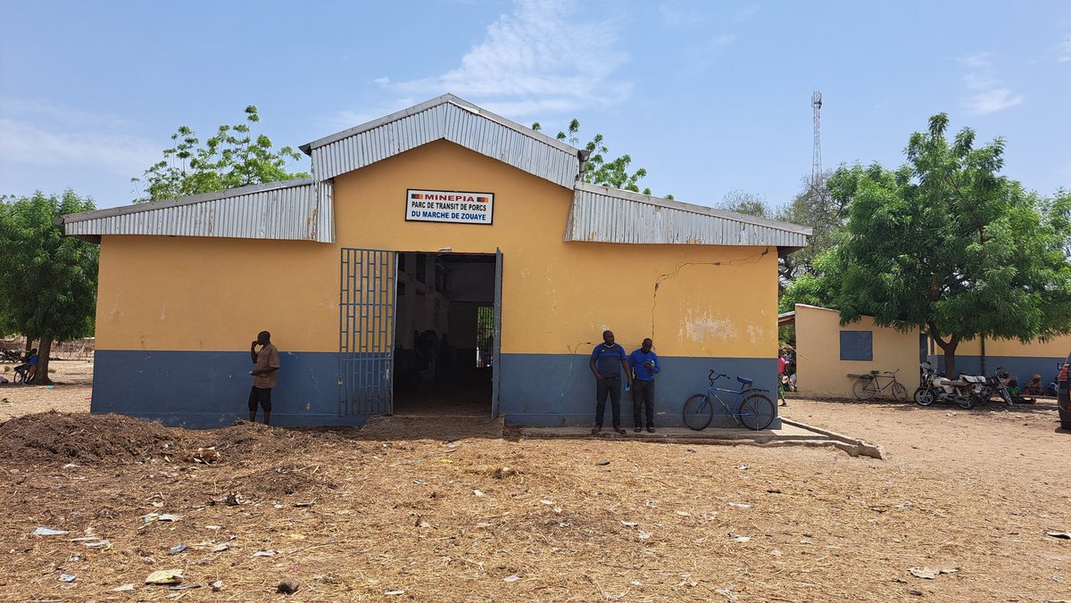 PNDP_Cameroun's tweet photo. Avant la construction du marché de 🐷 de Zouaye assorti d'un château d'eau financés par le PNDP, la commune de Datcheka enregistrait 17.000 F de taxes lors du marché de vendredi. Aujourd'hui, elle collecte jusqu'à 4.000.000 F/mois pour les 1000 🐖 qui entrent ici par semaine. https://t.co/ZCbmsPd67p