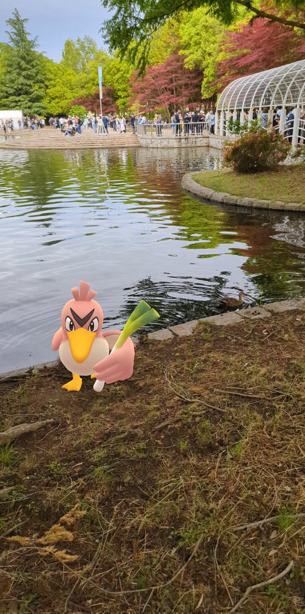 djnoodle3pji's tweet image. #PokemonGOFest2024 ✨

📷: #PokemonGOarplus