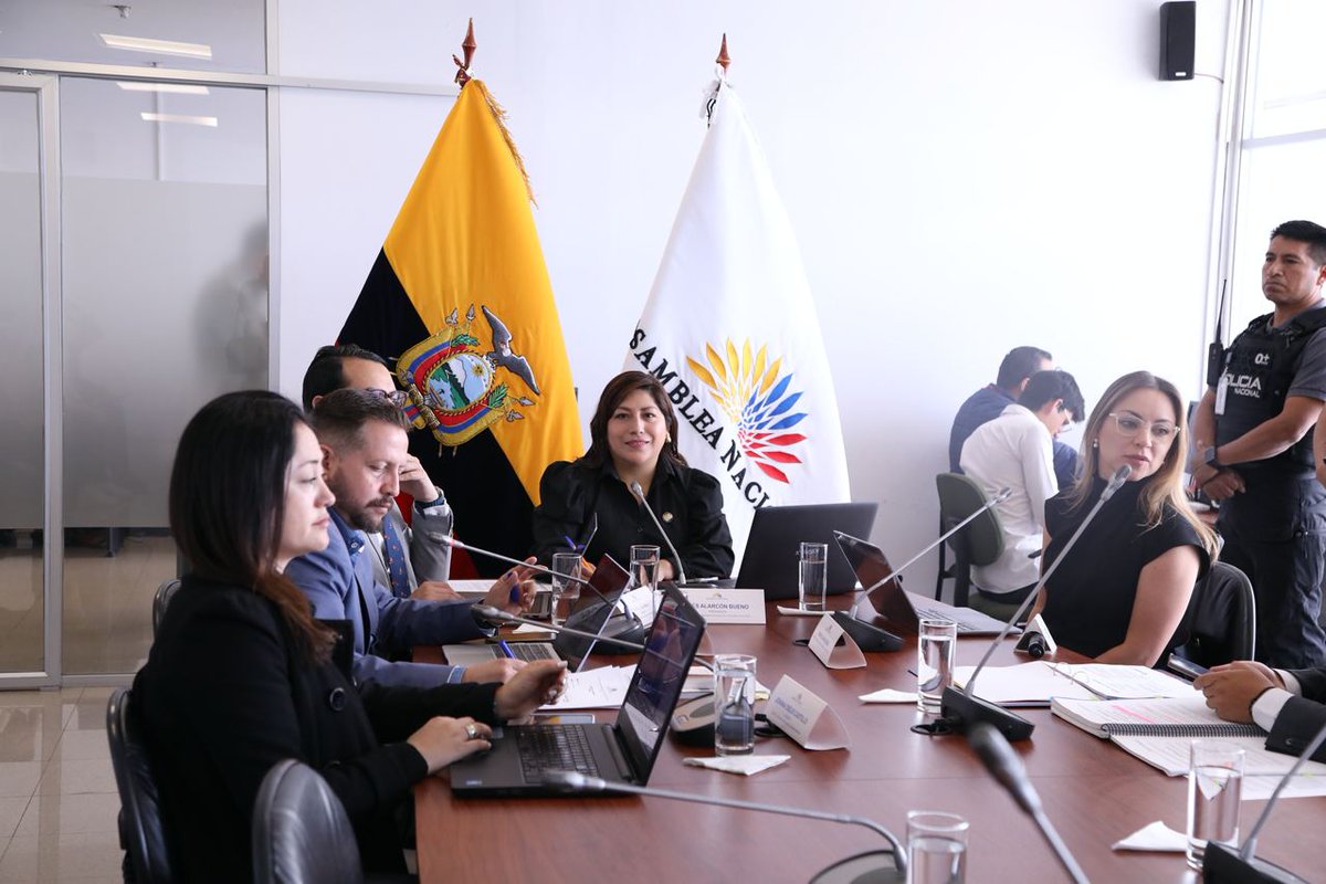 #LaNuevaAsamblea | @SeguridadAN sesiona en modalidad semipresencial. En esta jornada se tiene previsto recibir la comparecencia de @mishelmancheno1, secretaria jurídica de la @Presidencia_Ec, para que exponga el cumplimiento de la disposición transitoria primera de la Ley