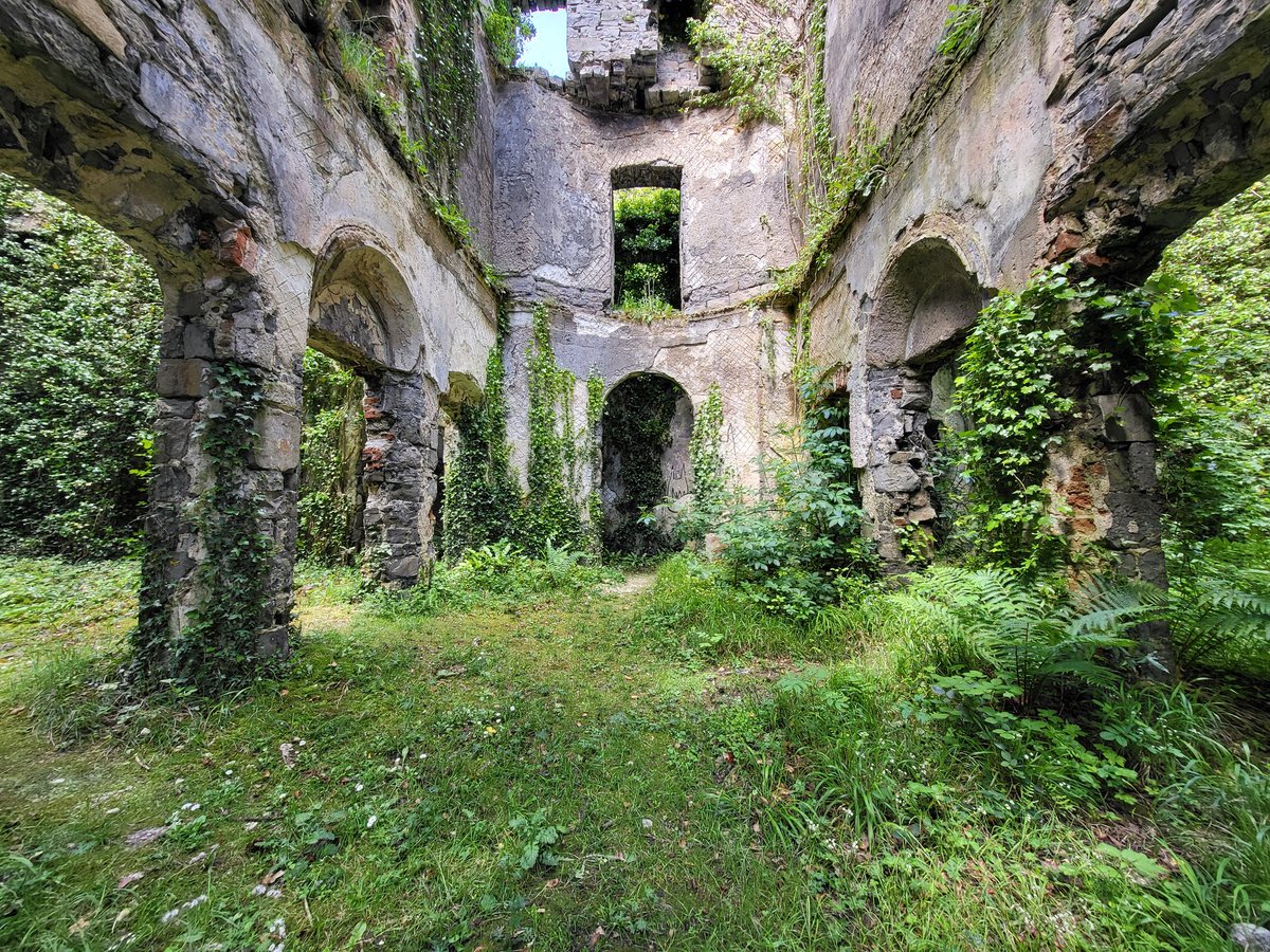 This is Moore Hall in Co Mayo, once a palace of the mighty but burned down during the Civil War. Today's lord of the manor is the colony of lesser horseshoe bats, for which the ruin is protected. And so the wild things will inherit the ruins of our civilisation.