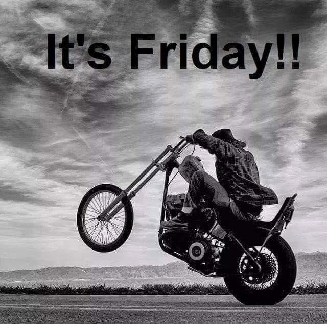 I know that feeling :) #harleydavidson #itsfriday #wheelie