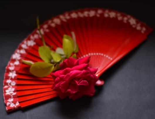 Ayşegül Gerdaneri💖 (@ay__se__gul) on Twitter photo 