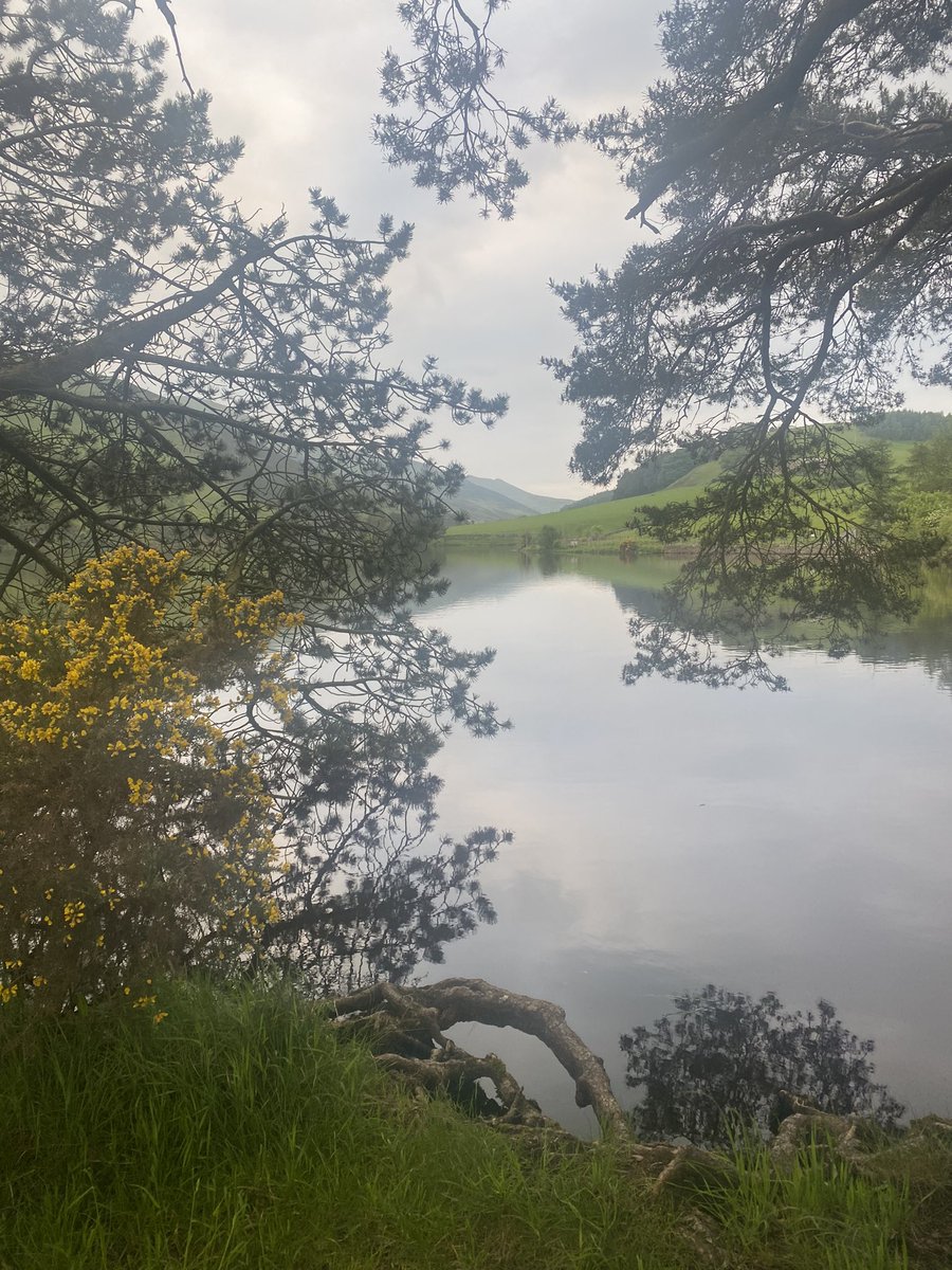 Wild swimming tonight