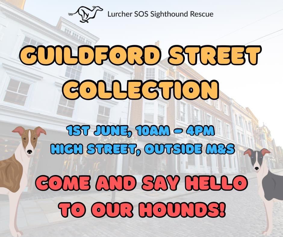 Tomorrow is the day!

We’ll be on Guildford high street on 1st June between 10am-4pm, raising funds for Lurcher SOS 🎉

Throughout the day there will be plenty of LSOS hounds to come & say hello to, so please come along to support, & help with donations! ❤️

RT #guildford #surrey