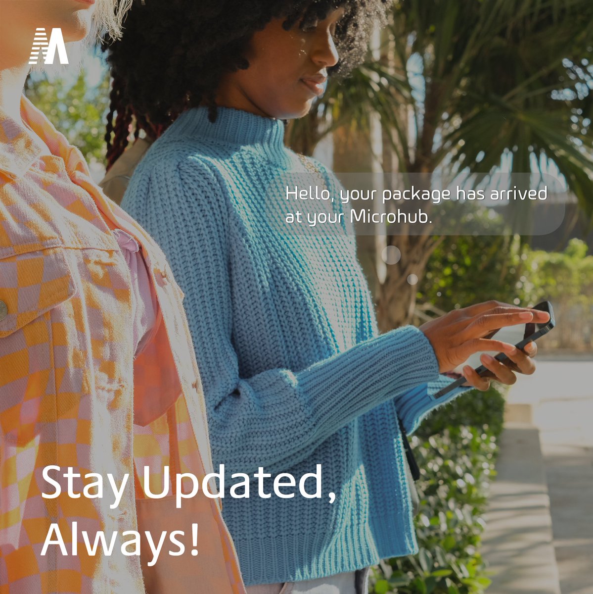 Microhub tweet media