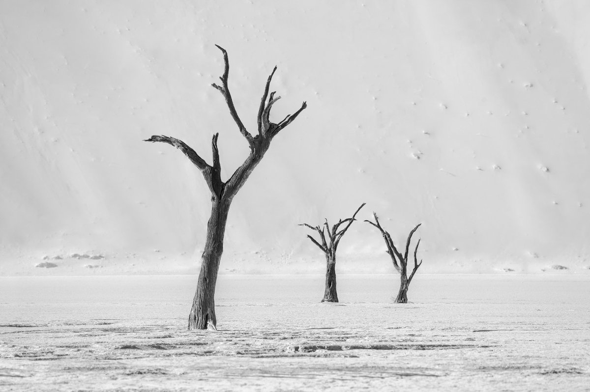 GE frens! 👋👋👋 Dead trees in black'n white from the wonderful area of Deadvlei, in the middle of Namib desert. #bnwphotography #NaturePhotograhpy #fineart #landscape