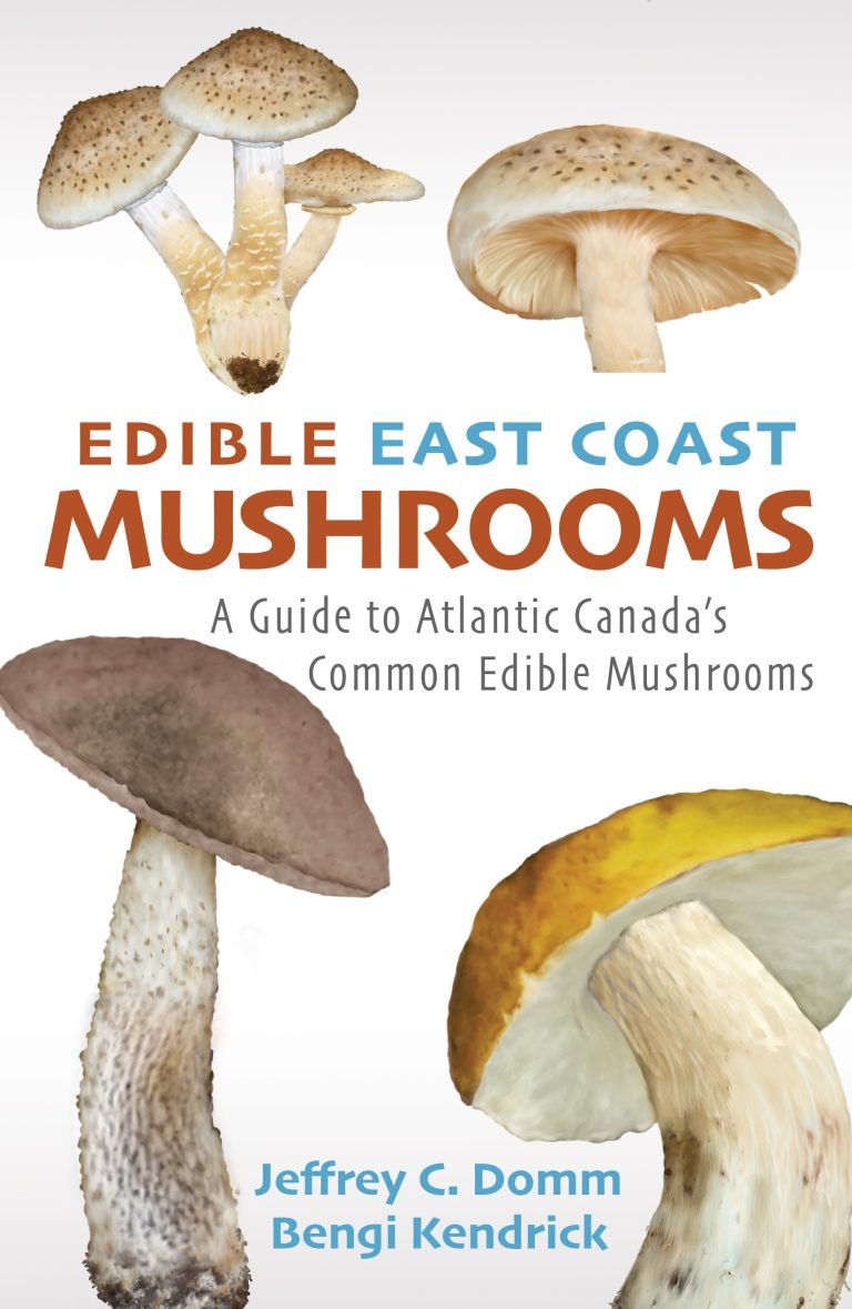 So, Jeff Domm and I wrote a mushroom book and it's coming out June 20th. Only use this book as a starting place, as there are many toxic mushrooms we didn't have space to cover. Enjoy responsibly.