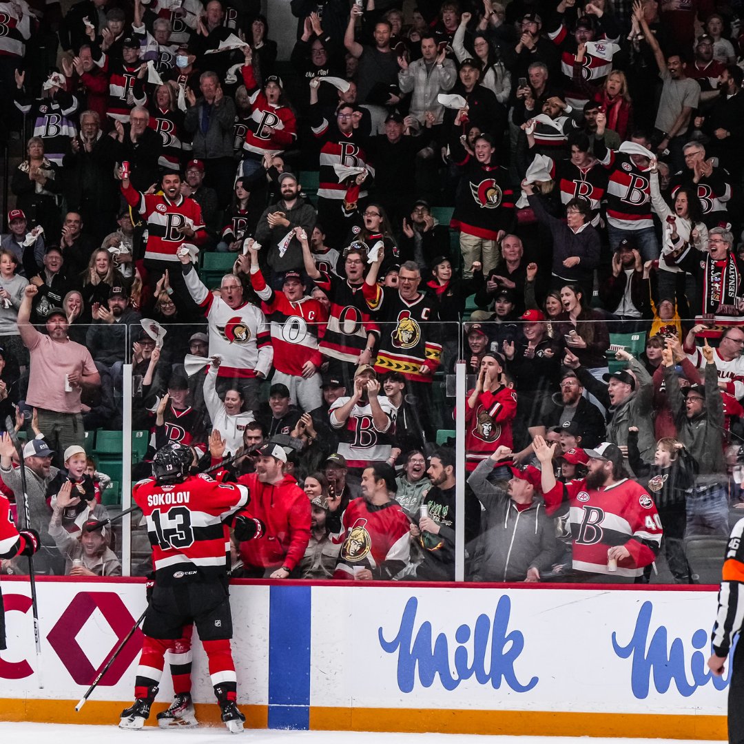 Belleville Senators tweet media