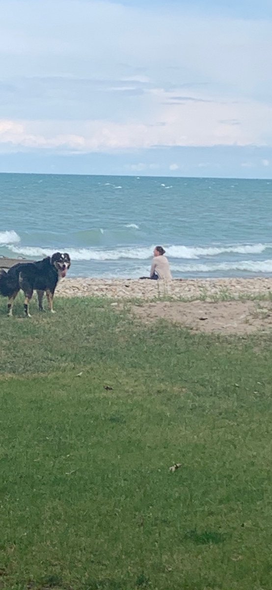 cathmiller01's tweet photo. Some days are better than others.

#peleeisland #haveathink https://t.co/CcU7x8pHY4