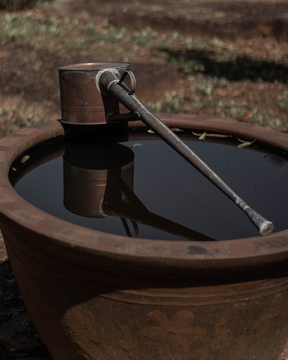 adam_bonsai's tweet photo. Finding stillness in the reflection. πΏβ¨
Even the simplest tools in a bonsai garden hold a story of patience and care. This tranquil moment reminds us to appreciate the beauty in everyday objects.
#ZenMoments #BonsaiReflection #GardenSerenity https://t.co/AmifvSyglP
