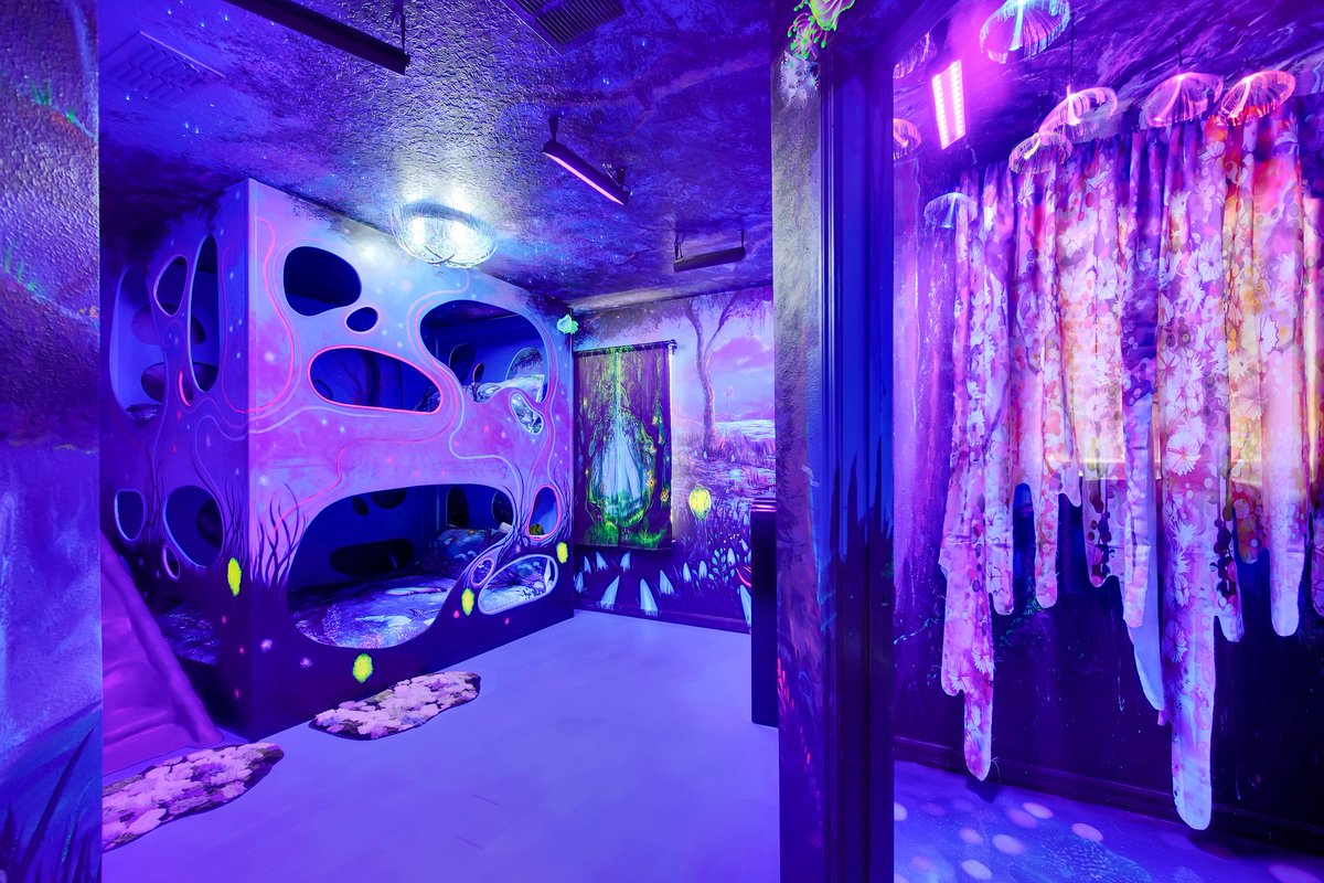 MagicalHomes's tweet photo. Experience the epitome of vacation bliss at the Enchanted Rainforest Retreat! 🤩
✨ Custom Themed Bedrooms
✨ Rainforest Themed Entertainment Loft 
✨ Indiana Jones Movie Theater 

Explore more of this thrilling home, perfect for all ages! https://t.co/WrZd9DBbaK https://t.co/DSc7IUhMvj
