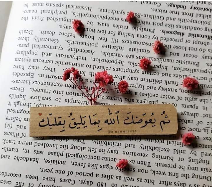 صاحب الاحلام (@mina_hema) on Twitter photo 