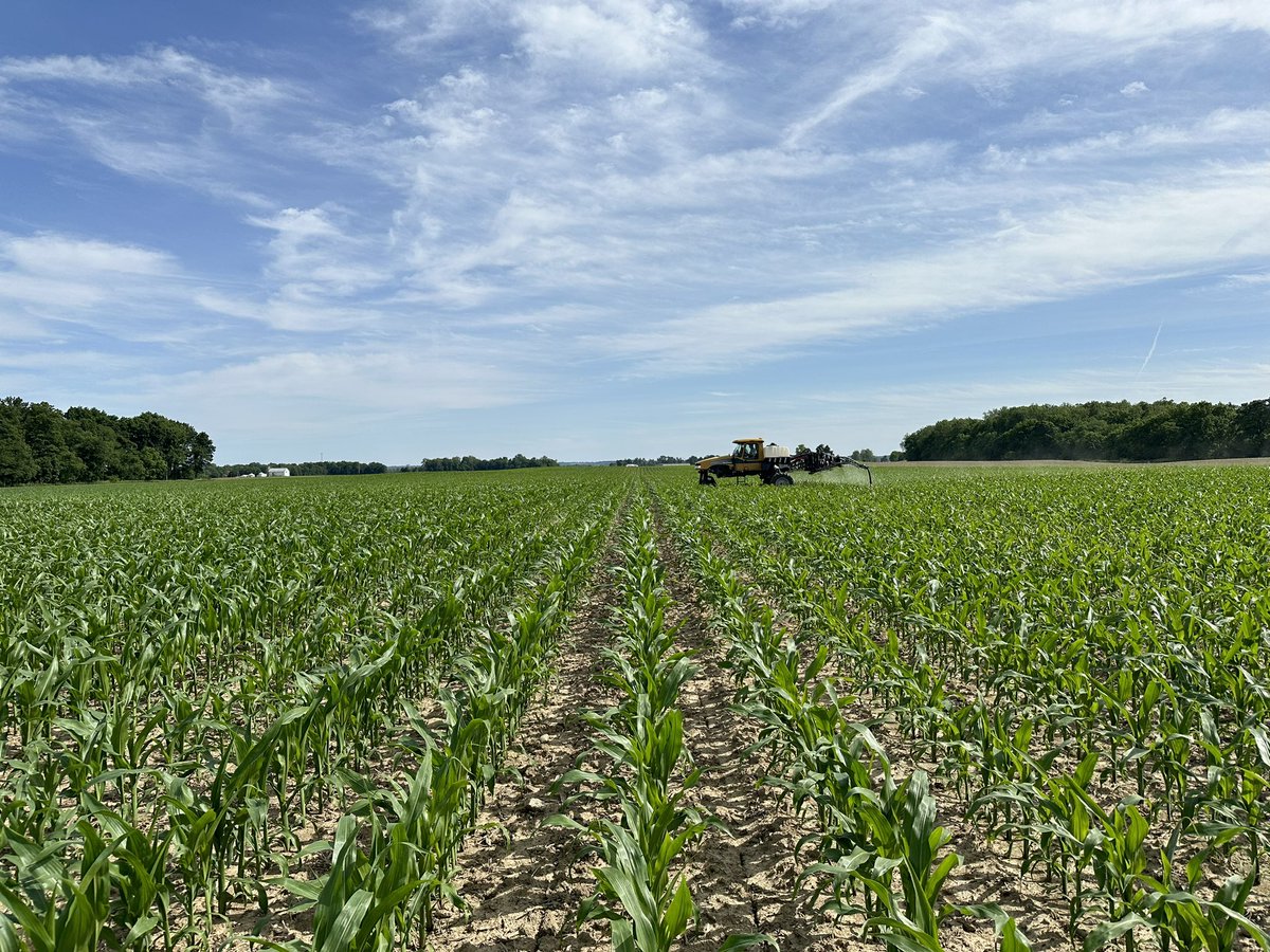 Chet Brunk tweet media