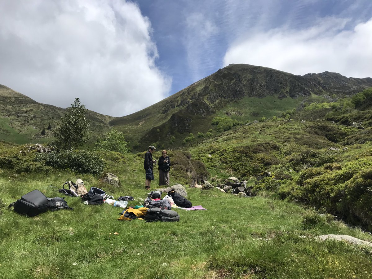 This week’s classroom for @campfr is not bad #ecoacoustics