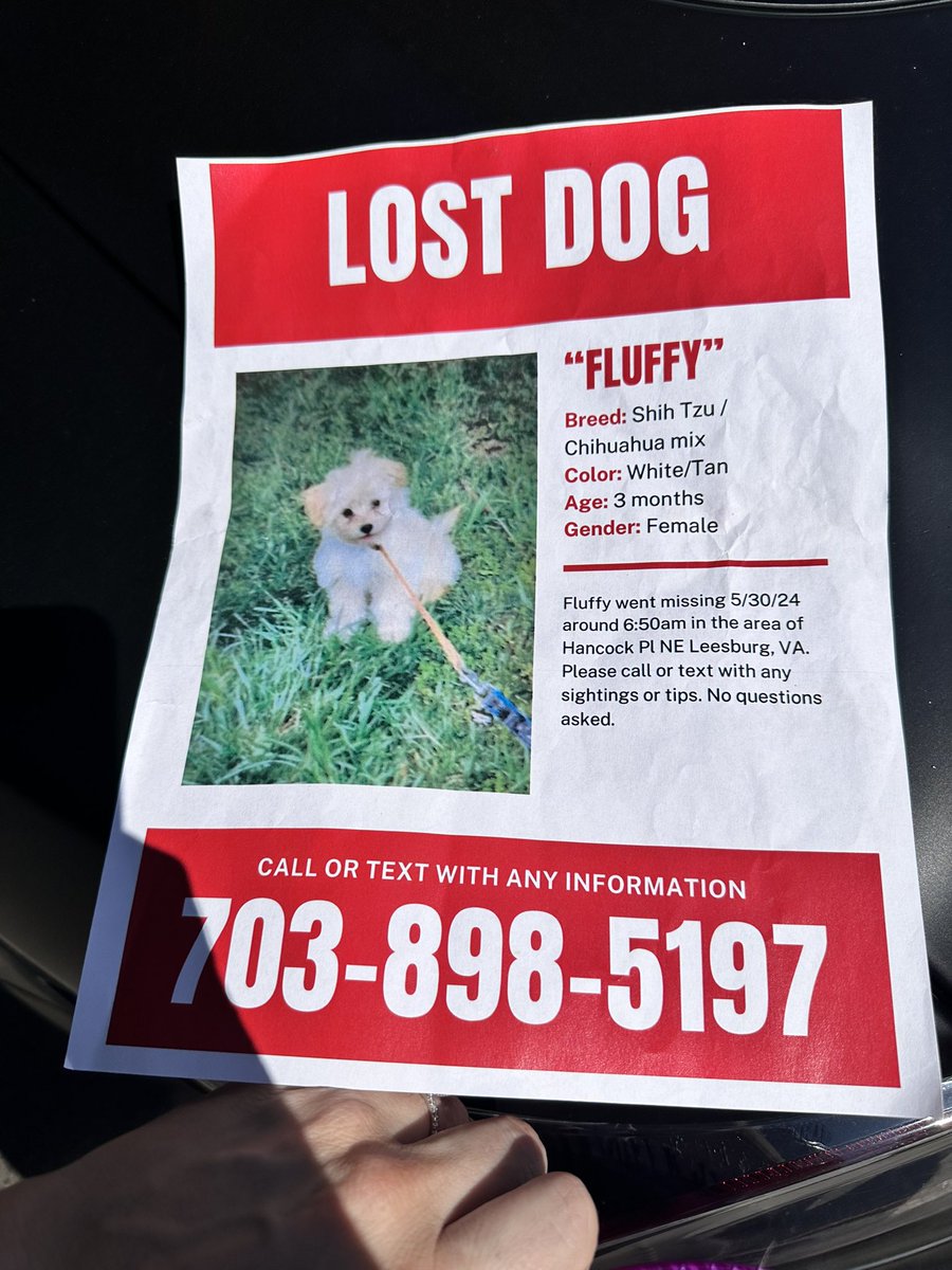 HayleyMilon's tweet photo. While covering last night’s shooting in Leesburg, a couple little boys brought me this flyer looking for their sweet dog fluffy who escaped while they left for school one morning.
Leesburg folks, keep your eyes peeled!
#findfluffy #leesburg #lostdog https://t.co/MgLN7d4pNr