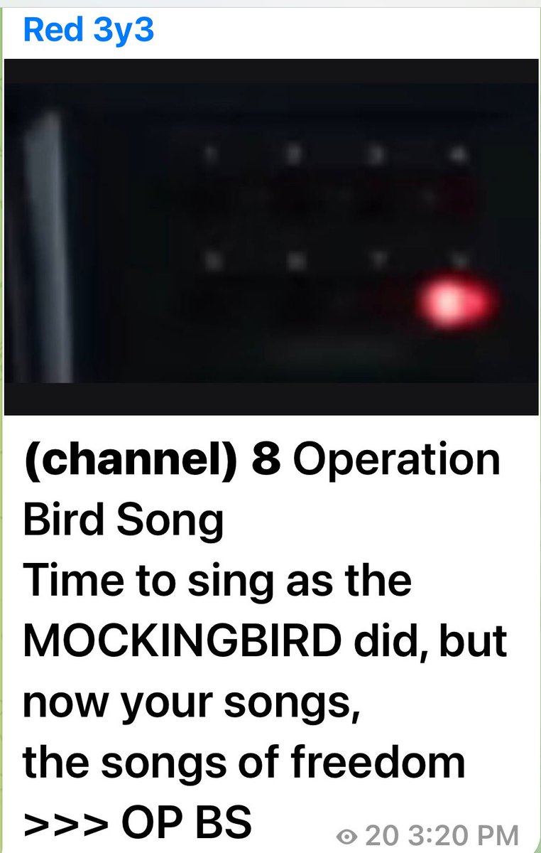 MissIN_Decent's tweet image. VVhat’s this?? #OP8