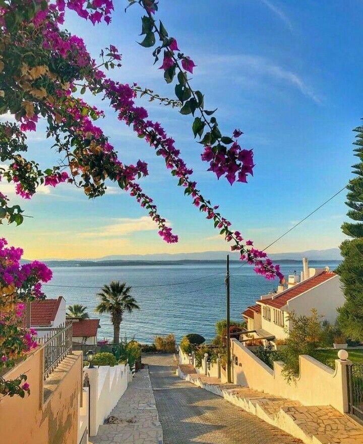 anbeanews's tweet photo. Sevgili Haziran, 
𝑚𝑢𝑐𝑖𝑧𝑒𝑙𝑒𝑟𝑙𝑒 𝑔𝑒𝑙. https://t.co/iR7Fs3GhVN