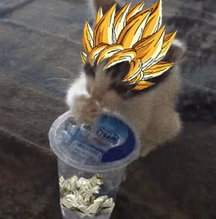 SlurpiCoin's tweet photo. @blknoiz06 ansem are you a super slurper? $slurpi

https://t.co/4aSirbJE0J https://t.co/LaZ5gks3HJ