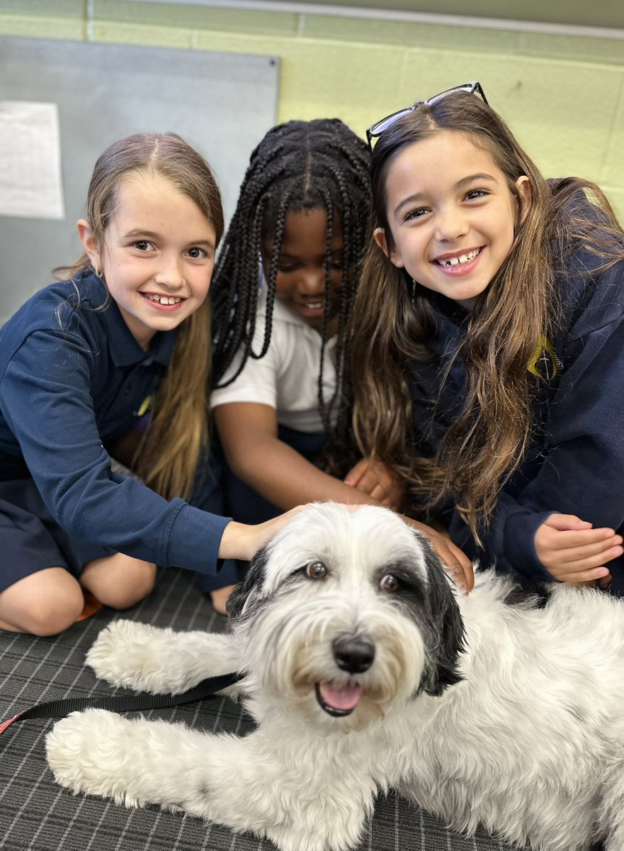 Ms.Sangwin tweet media