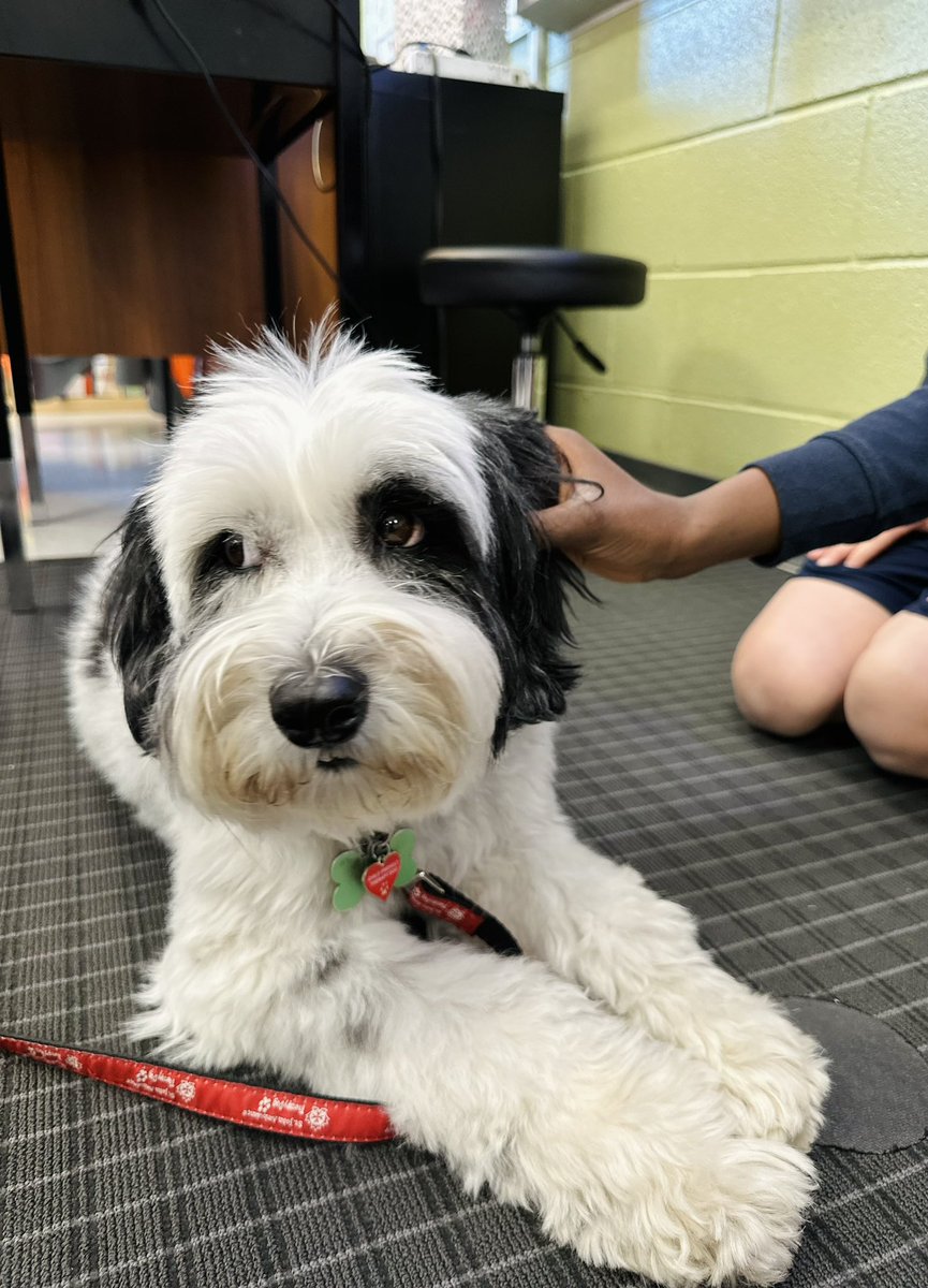 Ms.Sangwin tweet media