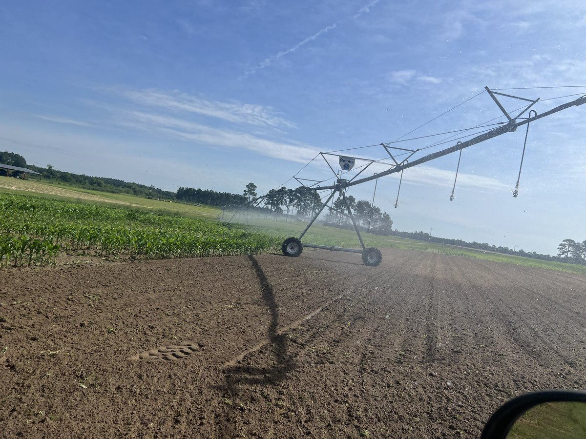 PrecAgEngineer's tweet photo. School is out so my summer help is back. Checking crops and cutting alleys in plots with my little helper today!! #ugatifton #research24 https://t.co/Bx3PmGOGPR