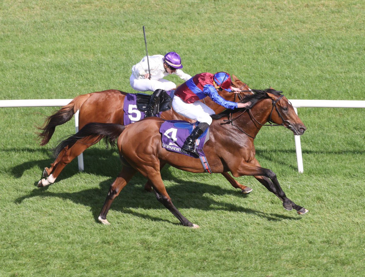 Leopardstown ➡️ Epsom 🏆

Congratulations to the Royal Bahrain Irish Champion Stakes 2022 Winner and 2023 runner up LUXEMBOURG winning the @HollandCooper Coronation Stakes @EpsomRacecourse this afternoon 🙌

#itallhappensatleopardstown