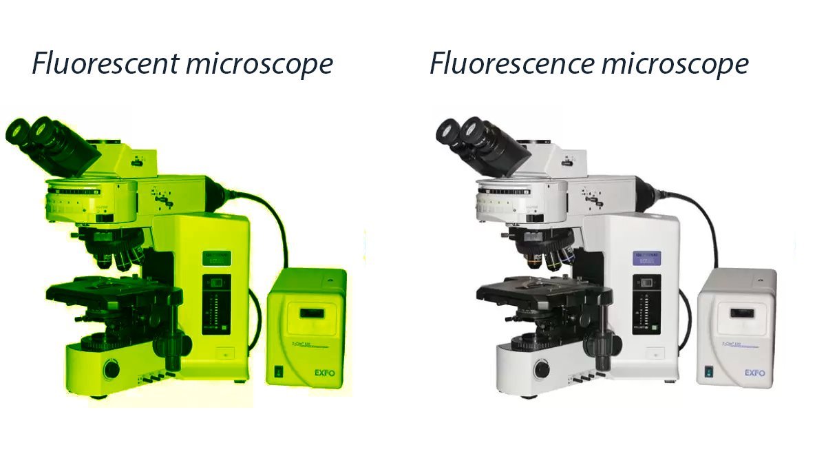 I feel like is time to post this again 🙈😁 #FluorescentFriday #FluorescenceFriday