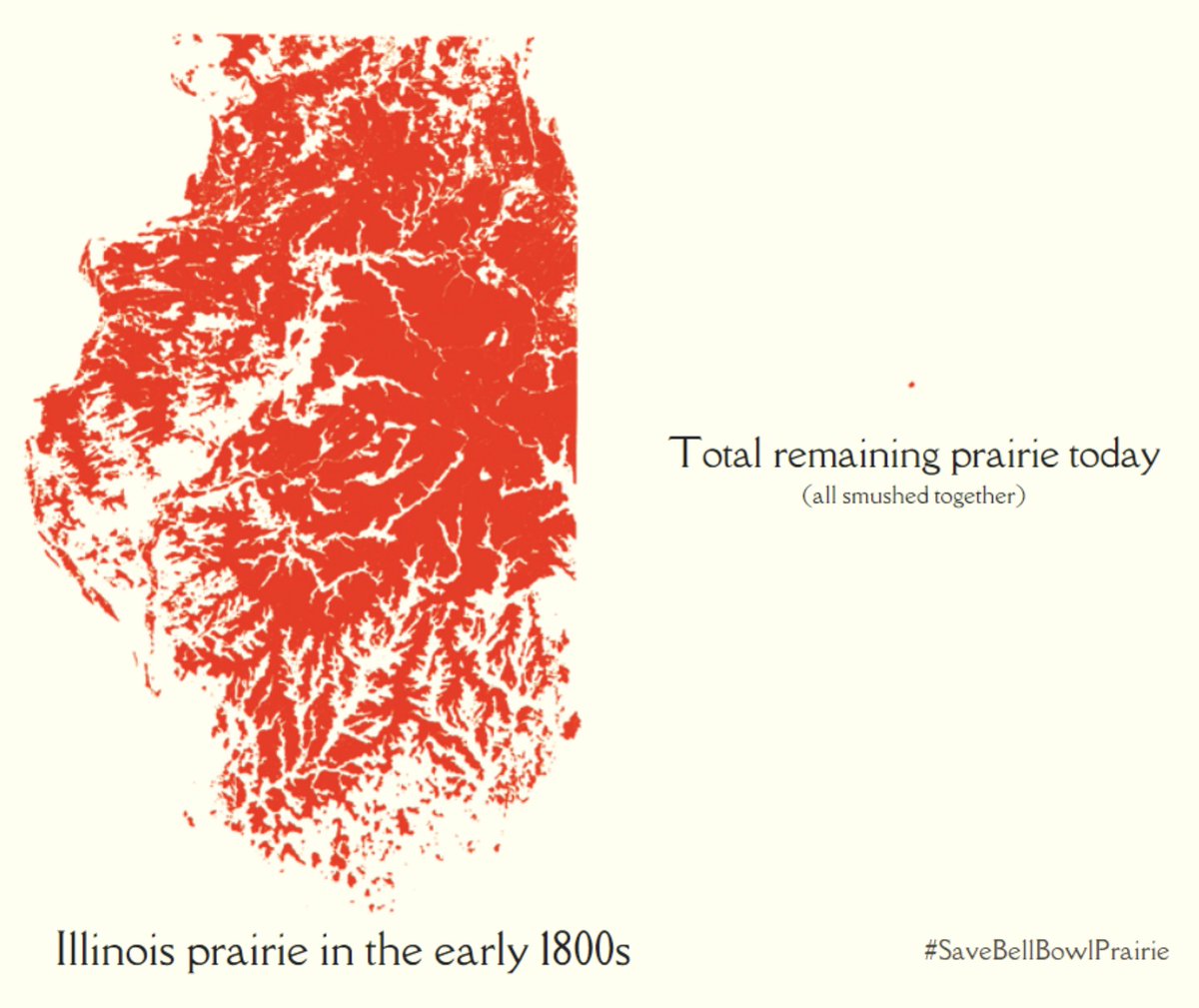 Tomorrow is National Prairie Day so it's a good time to remind everyone that Illinois calls itself "The Prairie State."

But a more honest name would be "The No More Prairie State."  

(original image by <a href="/BOUCUR/">cassi saari</a>, I believe)