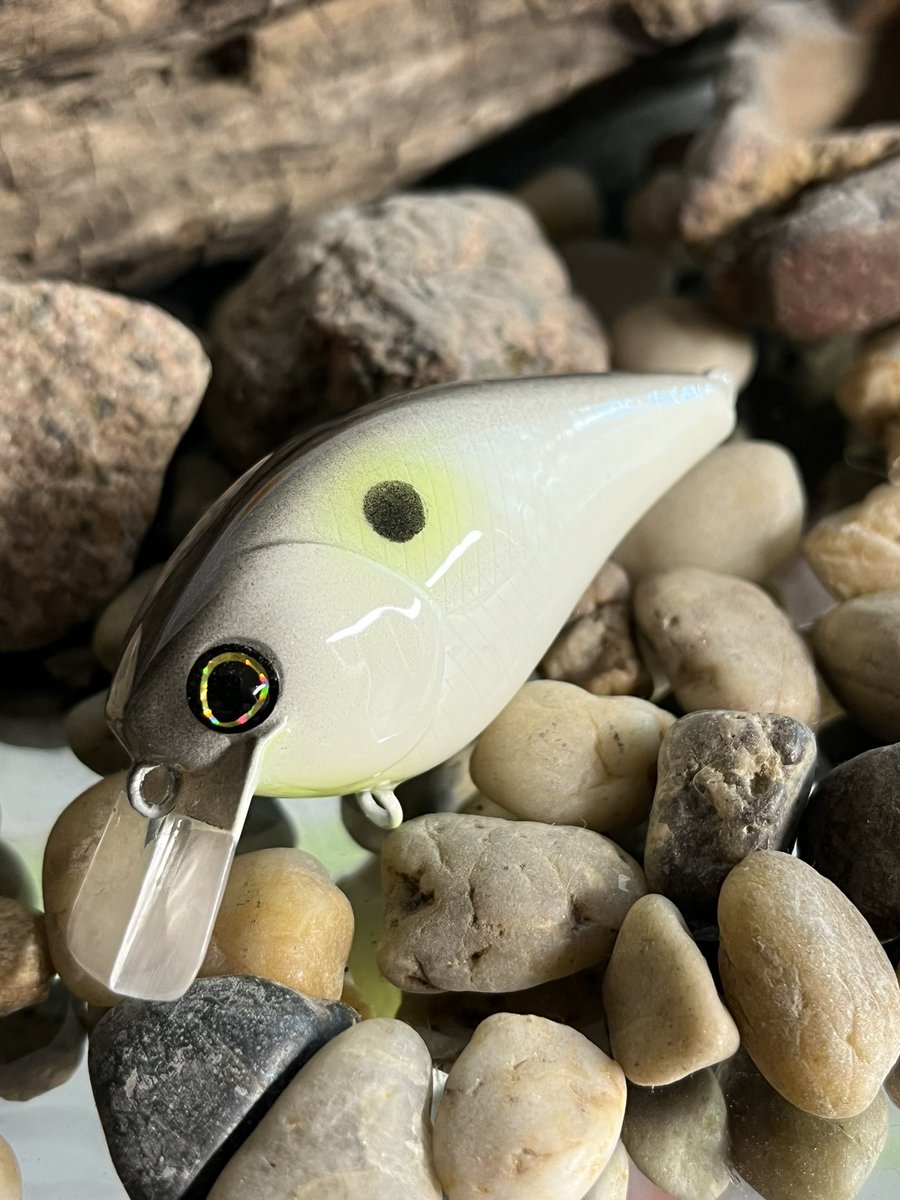 Here’s a few baits I shot for Hunter Kellogg of the <a href="/OhioStateBass/">Ohio State Bass Fishing</a> team last week in a Gizzard and Bone Shad pattern.