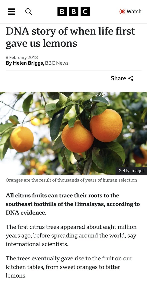GryKngBlakState's tweet photo. NATURAL CULTIVATION vs ARTIFICIAL GENETIC MANIPULATION ‼️
"Analysis shows today's citrus fruits are the result of millions of years of evolution, followed by thousands of years of human plant breeding"
They'll do ANYTHING for a dollar ‼️
https://t.co/hJcMnoRAUY
#NotThatSmart https://t.co/spuhCLar2S