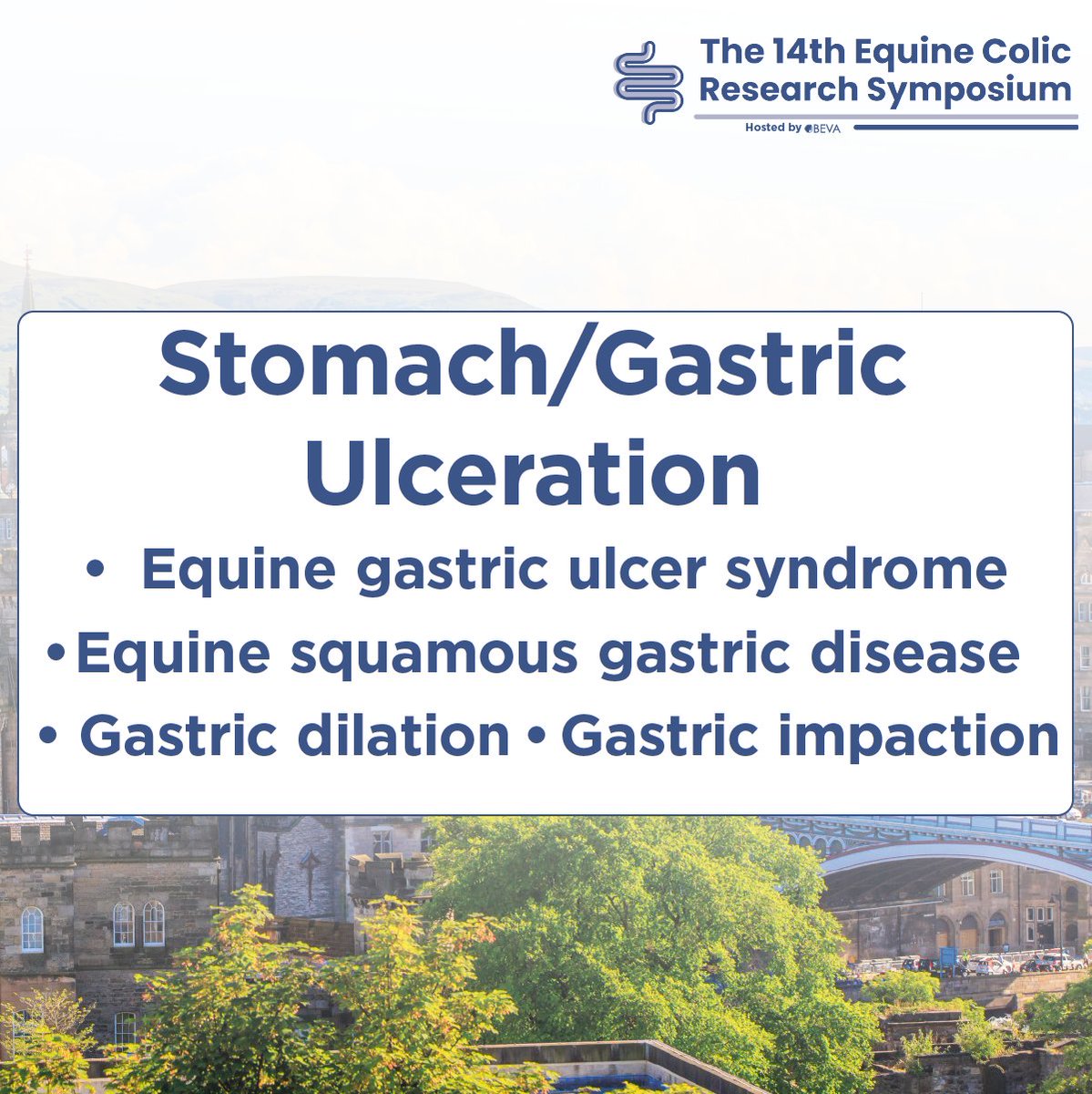 The 14th International Equine Colic Research Symposium kicks off in Edinburgh in less than 6 weeks! Tickets are selling fast but it's not too late to get yours, book now to digest from the best in equine gastrointestinal medicine! 🔗 bit.ly/47tsDvl