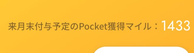 5月は100マイルボーナスも含め、1533マイルでフィニッシュ🏃‍♂️‍➡️

#ANAPocket