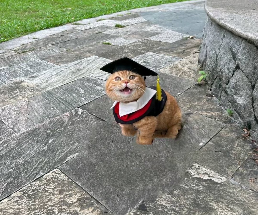 stickydacat's tweet image. Graduated from Fat Bastard Accadamy