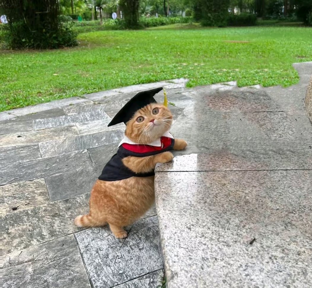 stickydacat's tweet image. Graduated from Fat Bastard Accadamy