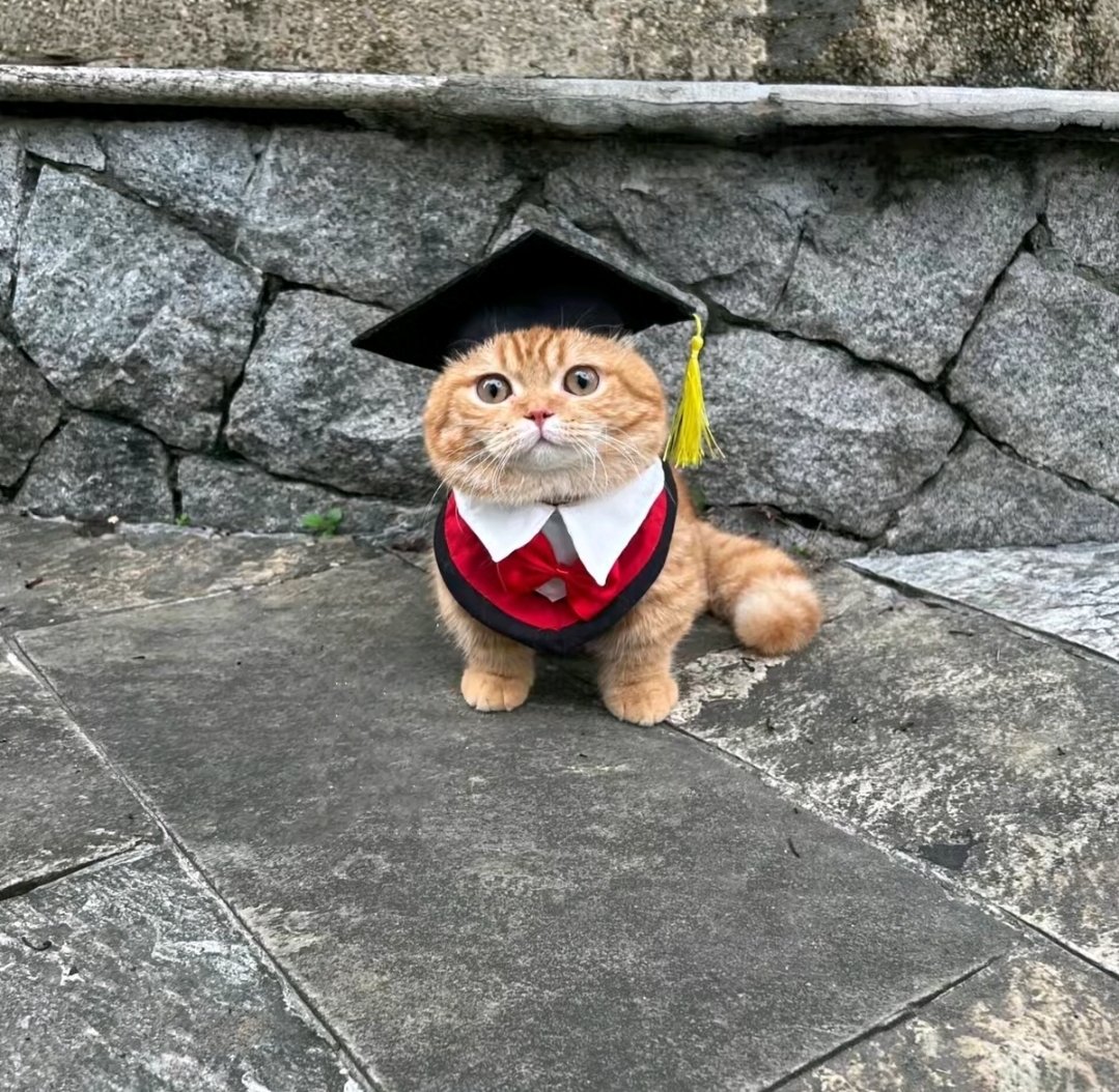 stickydacat's tweet image. Graduated from Fat Bastard Accadamy