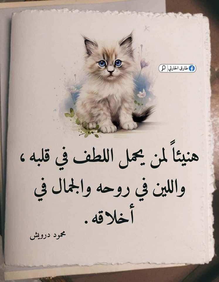 RajaaNassar's tweet photo. https://t.co/SEhhrbYCTk